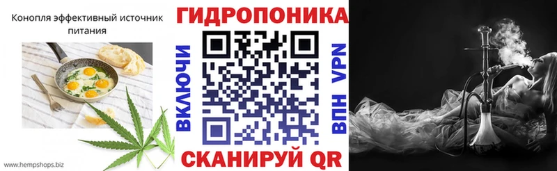 сколько стоит  Кемь  kraken рабочий сайт  Cannafood марихуана 
