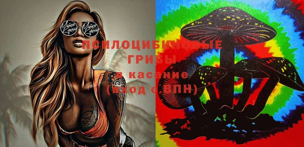 spice Алексеевка