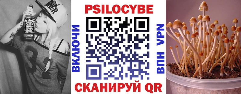 купить закладку  Кемь  МЕГА ONION  Псилоцибиновые грибы мицелий 